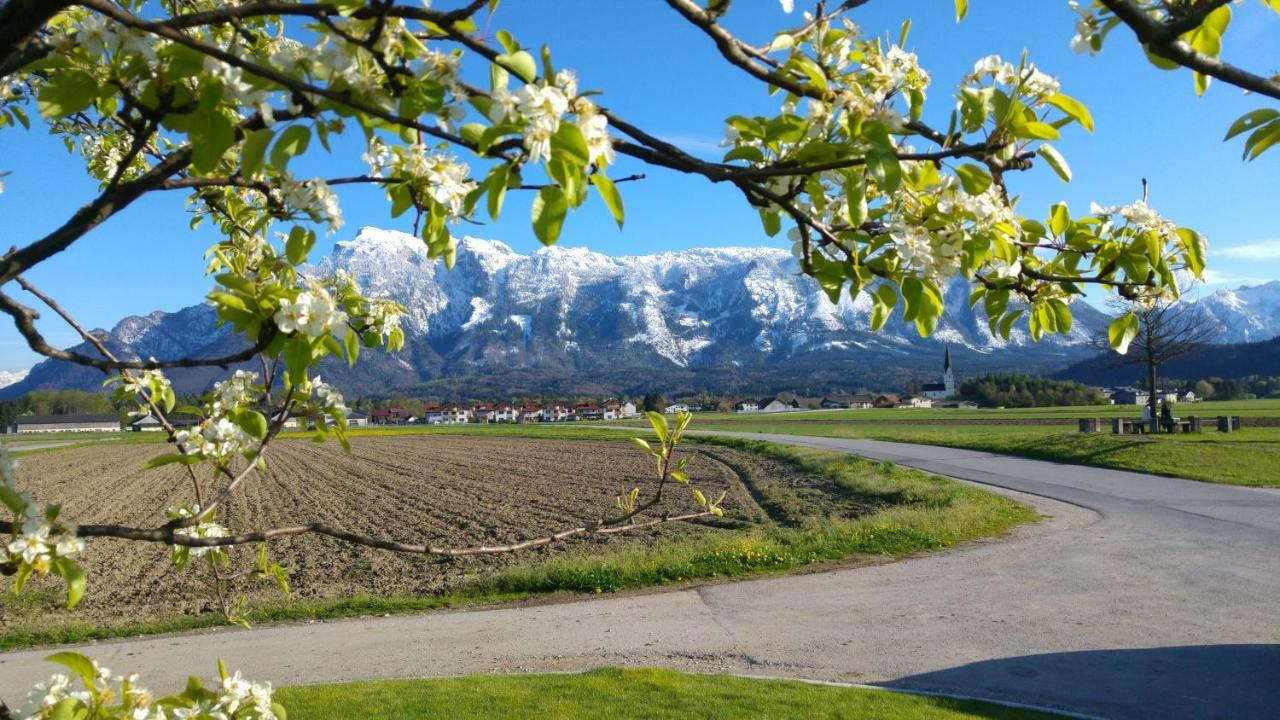 Vor Den Toren Salzburgs فالس المظهر الخارجي الصورة
